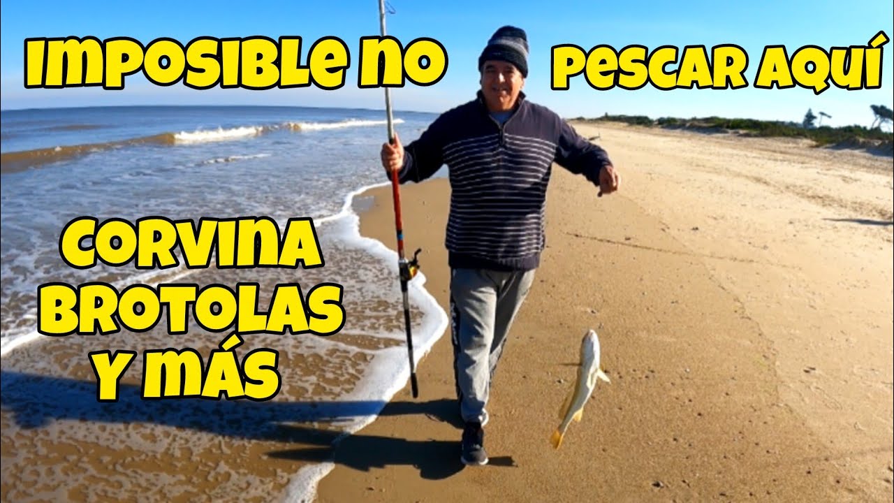 IMPOSIBLE NO PESCAR AQUÍ, BUENA PESCA DE COSTA, CORVINA, BROTOLAS Y MÁS