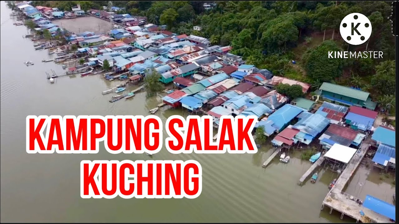 KAMPUNG SALAK KUCHING #kampungsalak #kampungsalakkuching #2022 #ardisaaitchannel