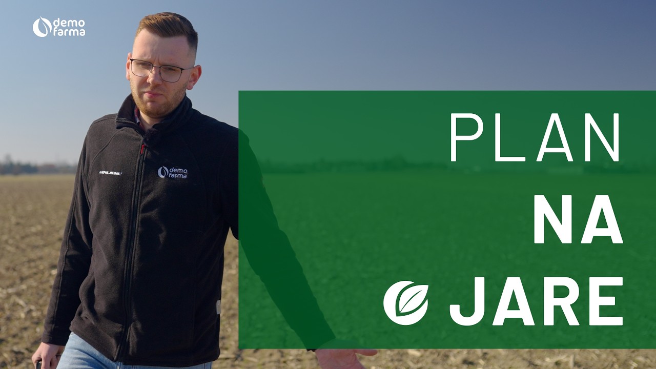🌾 Zboża jare 2026: Jak uzyskać wysoki plon? | odmiany, nawożenie, obsada