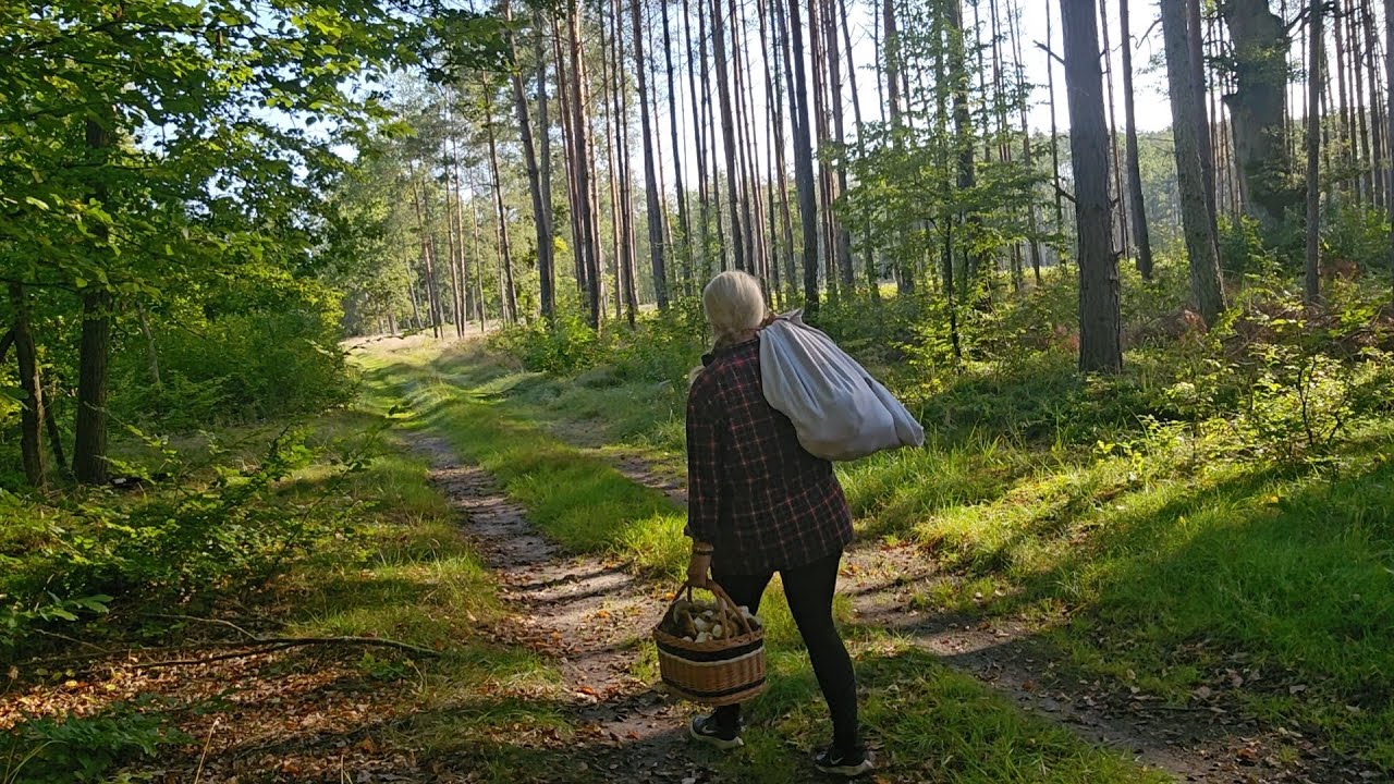 Szok - takich prawdziwków jeszcze nie widziałam 