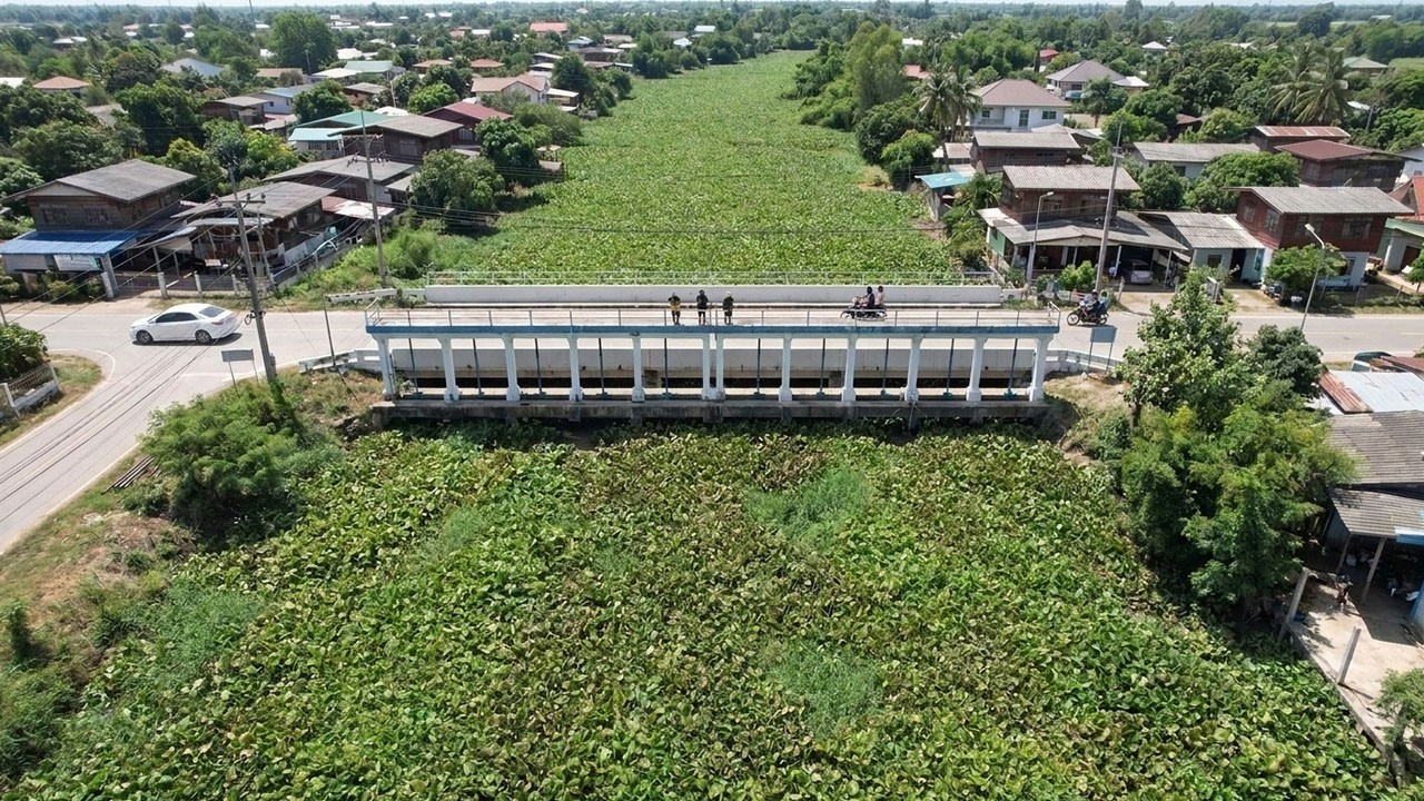 Massive Floating Plant Removal Project | Clearing a Completely Clogged Water Gate