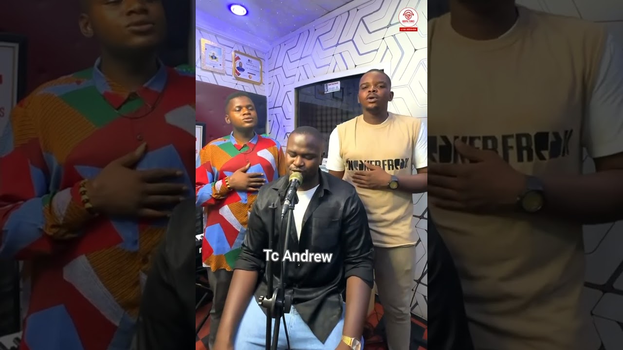 Christmas has risen | Tc Andrew