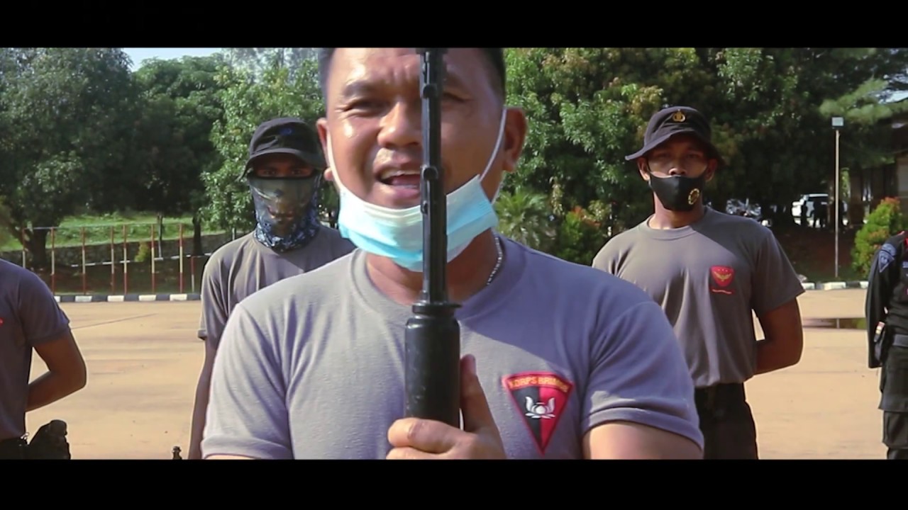 Vlog 350 Another Scene With 