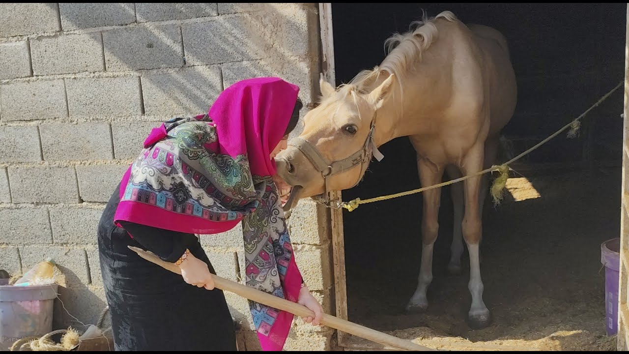 A Day in the Stable:Cleaning & Feeding My Horse🐴