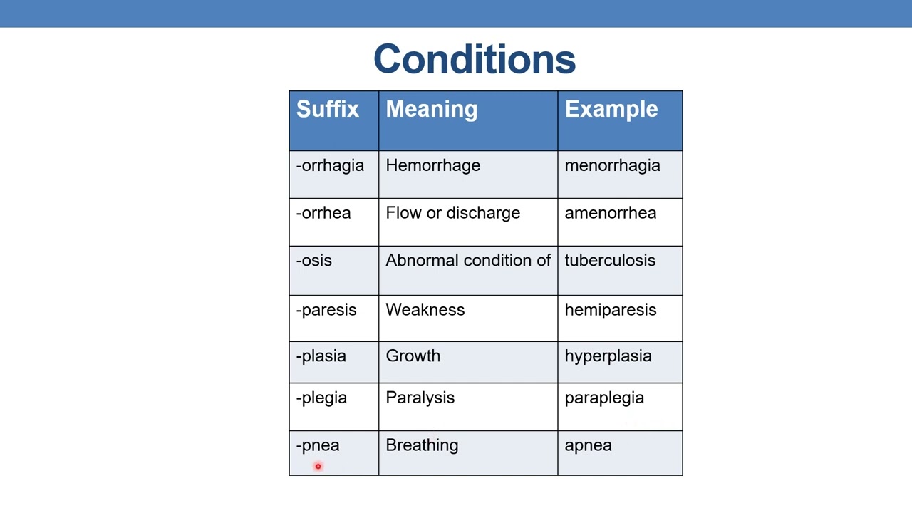Prefixes, suffixes and roots - Part 1