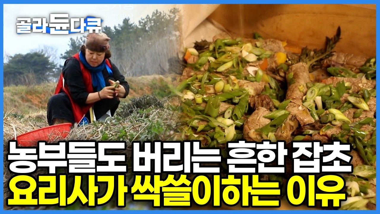 봄철 길가에 이 풀이 보이면 무조건 캐세요! 동네 어르신들도 맛보고 감탄한 가시 많은 엉겅퀴의 기막힌 변신｜봄나물 자연 밥상｜한국기행｜#골라듄다큐