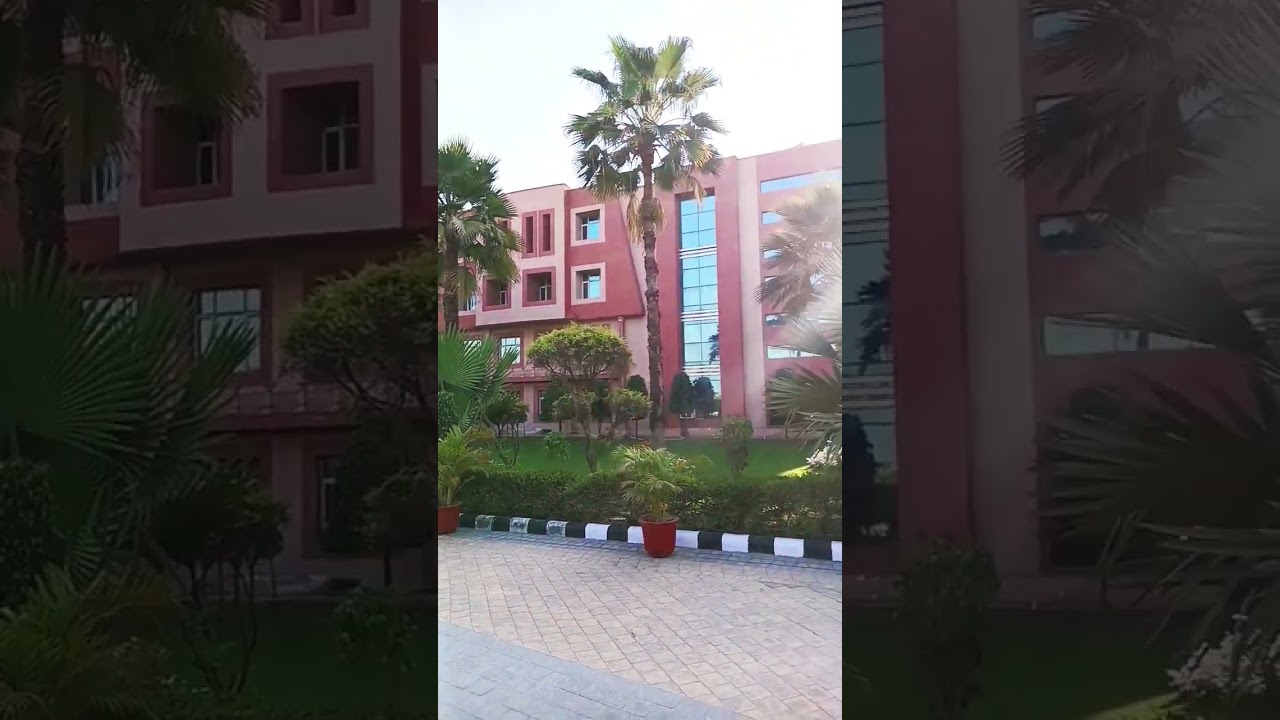 IimtG.Noida btech building.. 