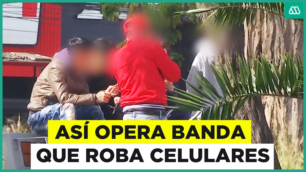 Peligrosa banda criminal: Así opera grupo que roba celulares en micros