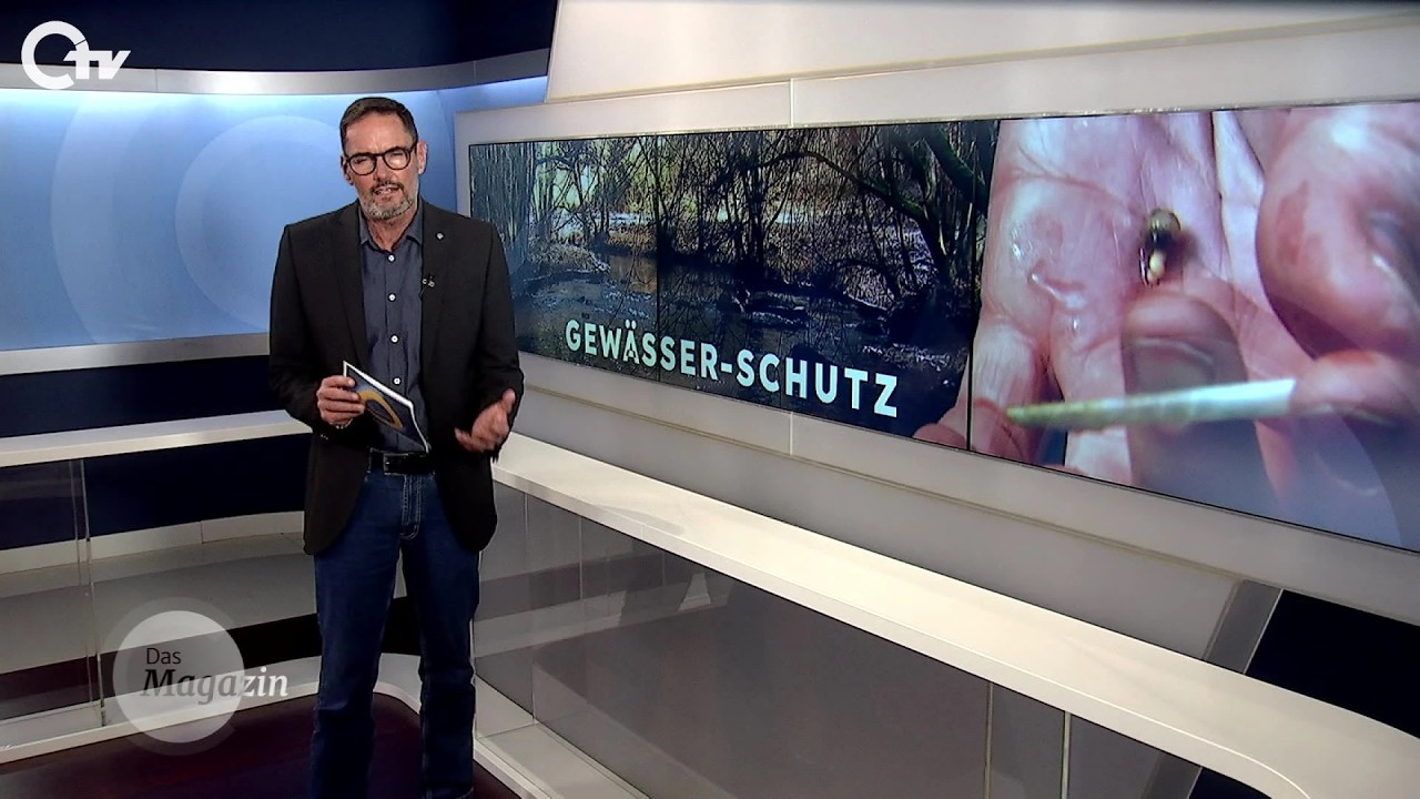 OTV-Magazin 18.02.2026: Bachforellen retten Flussperlmuscheln, Alpakababy Schneeflocke & mehr