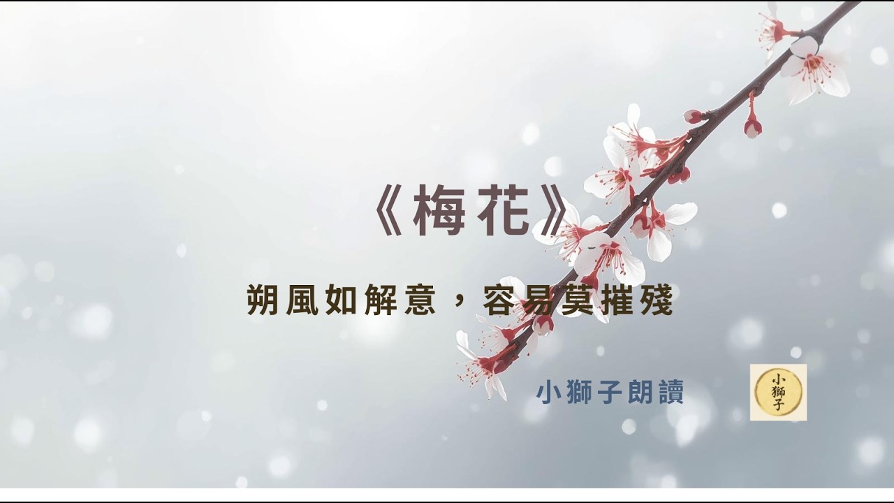 梅花清極不知寒？這首詩寫盡冬日風骨｜崔道融〈梅花〉賞析