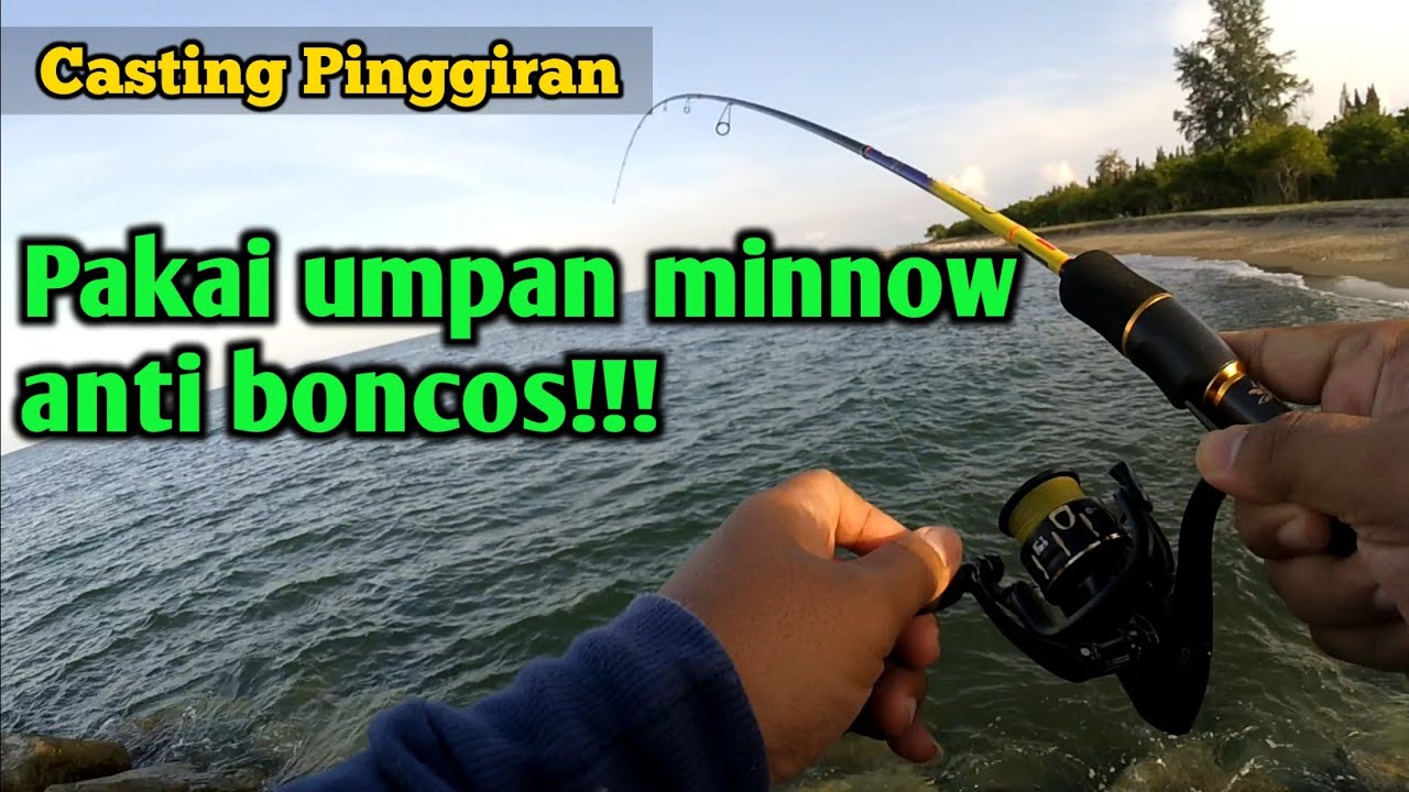Casting pinggiran Strike terus pakai umpan minnow ini !!!#Capung702UL#castingpinggiran