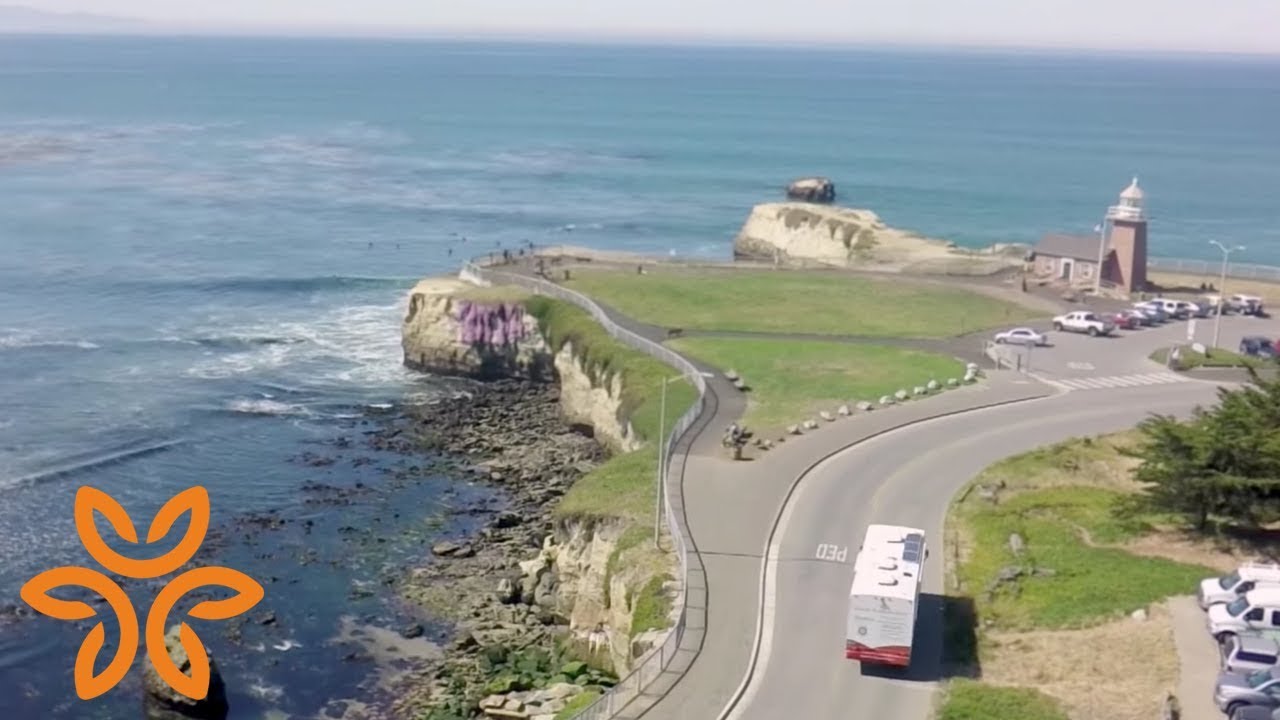 Mobile Wellness Clinic | Hello humankindness