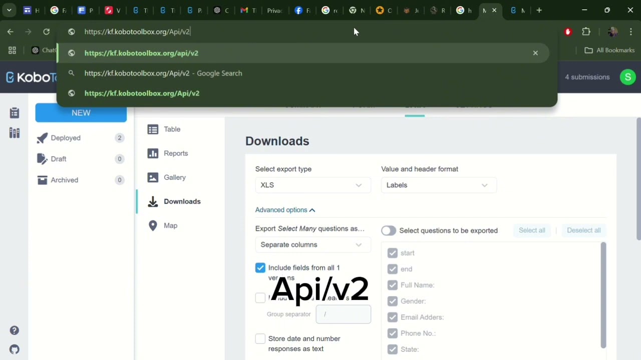 Connecting Kobo Toolbox with Excel