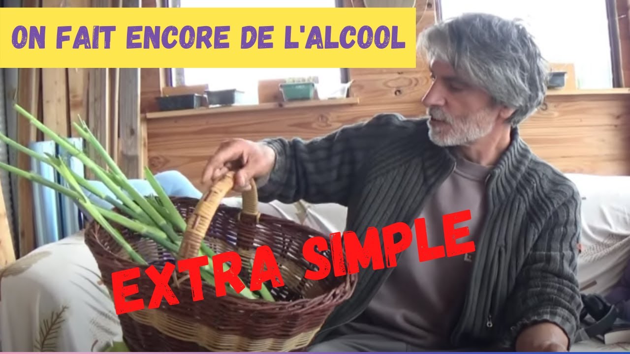 😍Digestif / liqueur original (e) avec du fenouil !! Le finocchietto😋