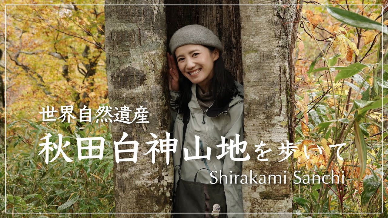 【世界自然遺産】秋田白神山地を巡るエコツアーに参加してきました！