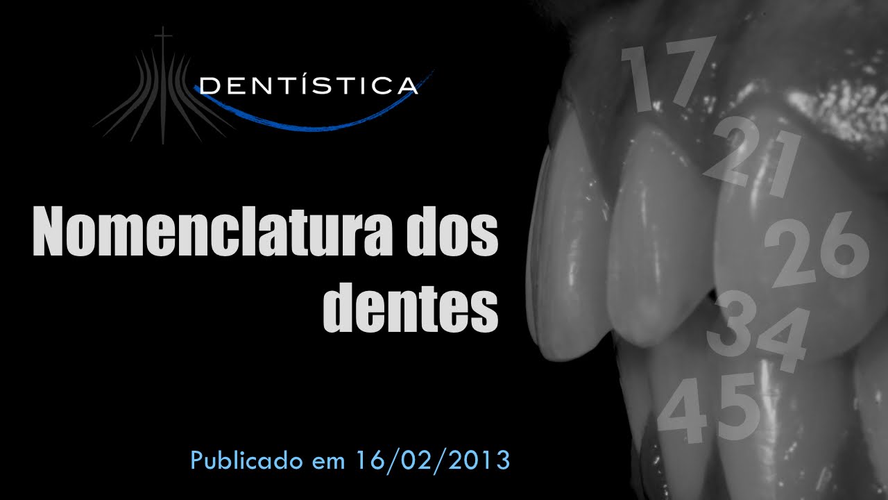 Nomenclatura dos dentes