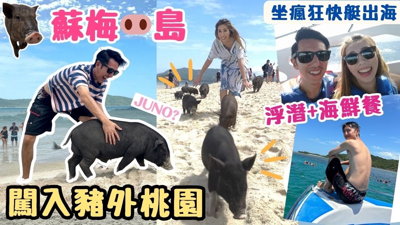 【蘇梅島2 】🌴Samui必到行程🐽闖入可愛黑豬小島|🦀海鮮餐味道竟然是😱⁉️ 坐瘋狂快艇出海浮潛|查紋沙灘酒店NORA開箱| Koh Mudsum