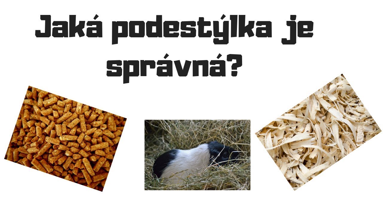 Jakou si vybrat podestýlku