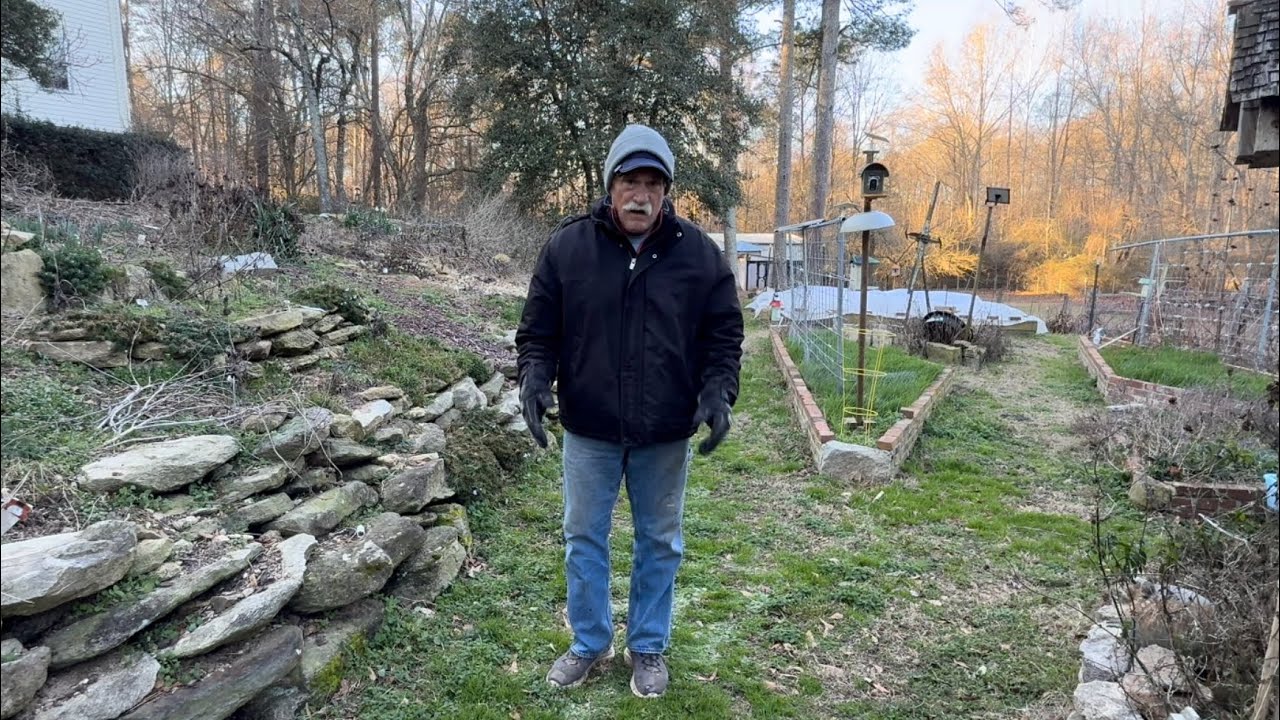 Garden Update for January 15, 2026