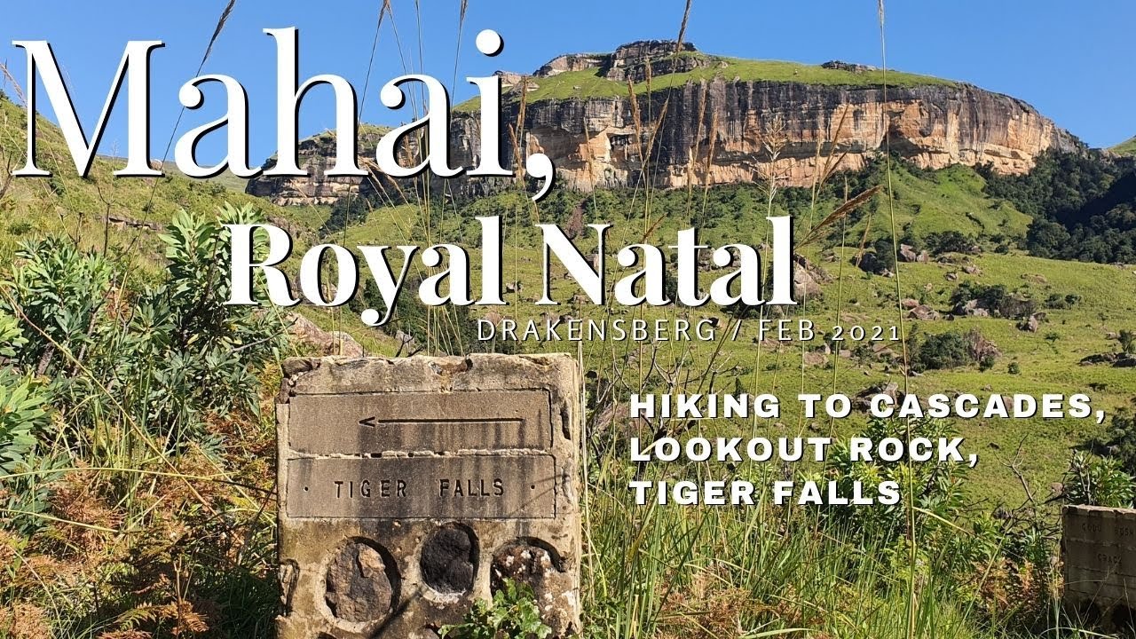 MAHAI / ROYAL NATAL / DRAKENSBERG / FEB 2021
