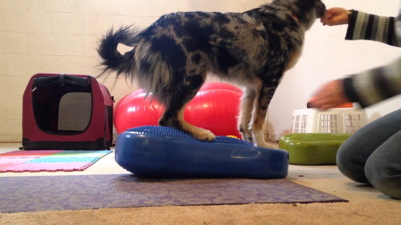 Beginning Core Work - Where Do I Start?