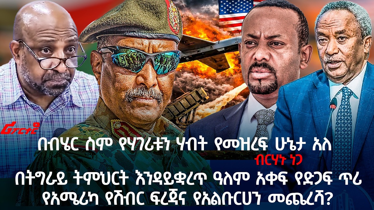 በብሄር ስም የሃገሪቱን ሃብት የመዝረፍ ሁኔታ አለ- ብርሃኑ ነጋ @ethiopian_reporter
