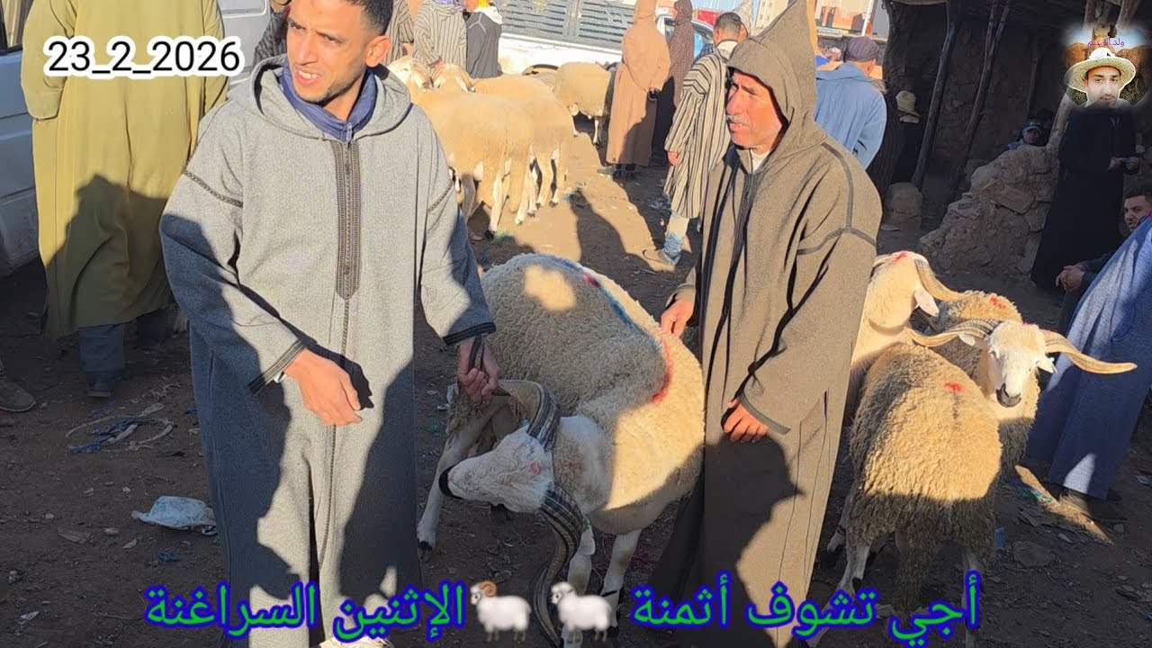مباشرة من سوق الإثنين السراغنة مع أثمنة 🐏 🐑 🐏 📷 23/2/2026 