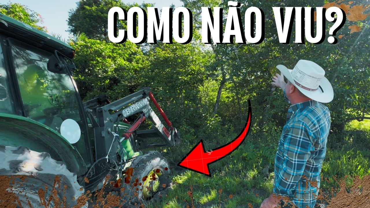 ELE DISSE QUE NÃO VIU A MATA… OLHA NO QUE DEU!”