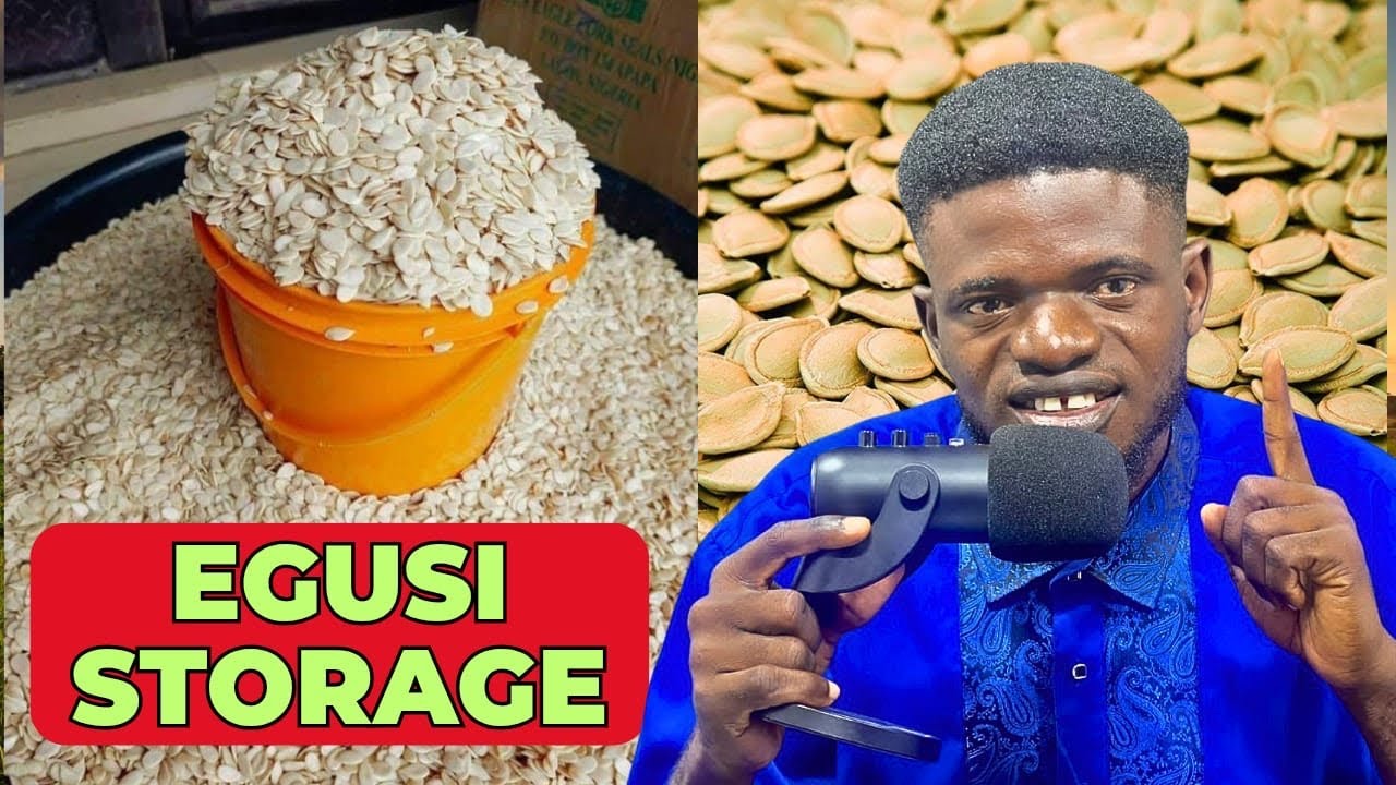 How To Start Egusi Storage Business || Best Time To Buy For Maximum Profit||…
