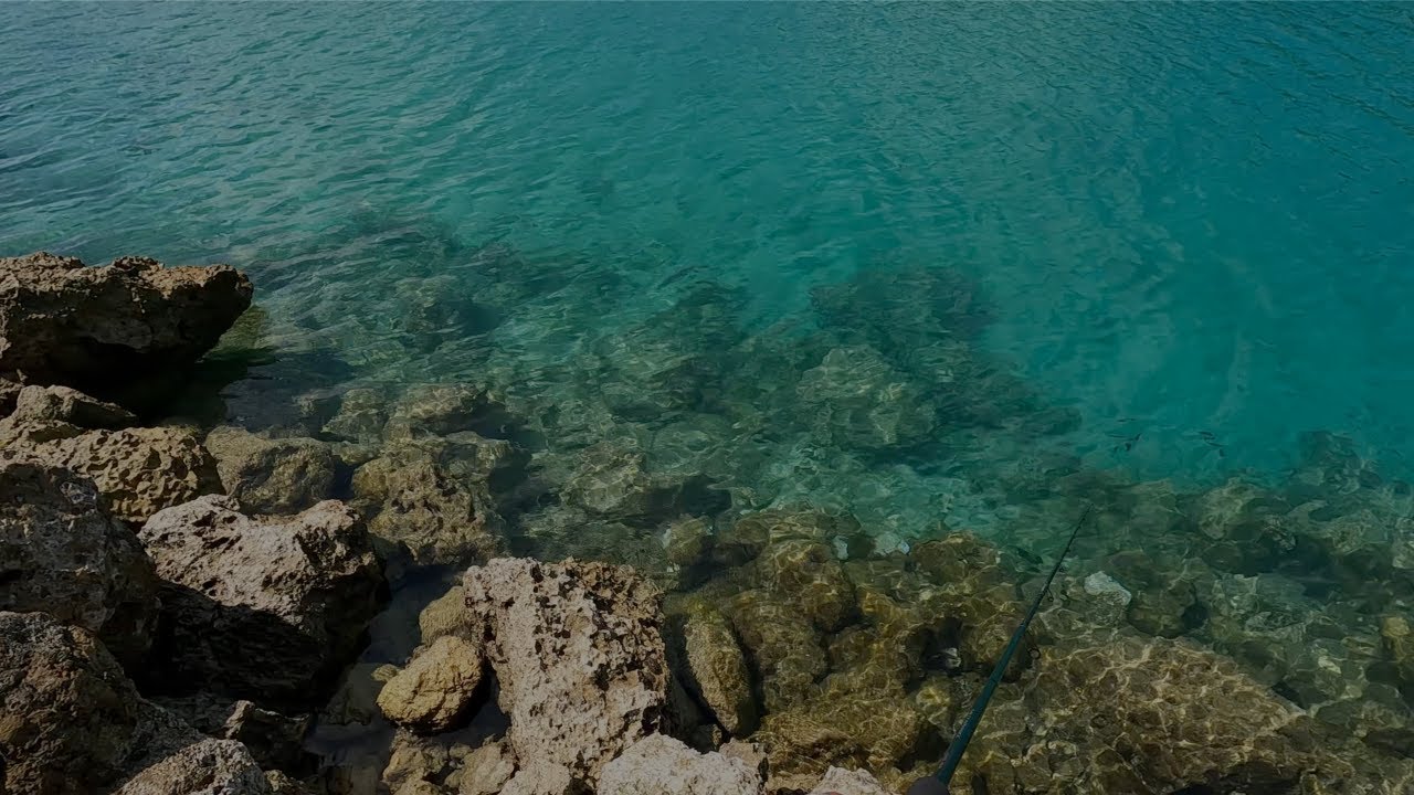 【遠征編】宮古島でルアーで魚は釣れるのか？