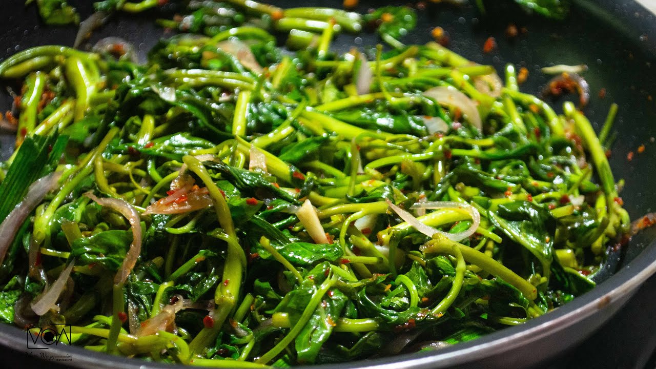 Kankun Themparaduwa  |   කංකුං තෙම්පරාදුව