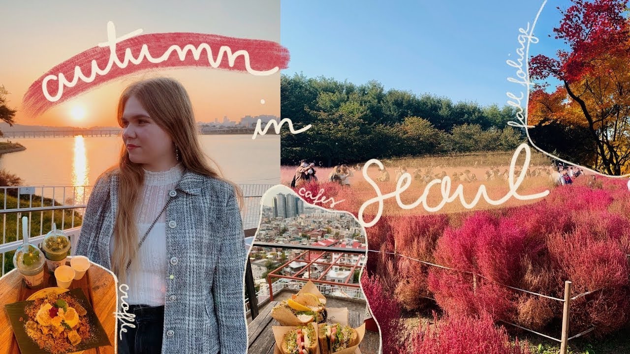 autumn adventures in seoul 🍂 pink muhly grass, cafe hopping and han river ✨ korea diaries 009