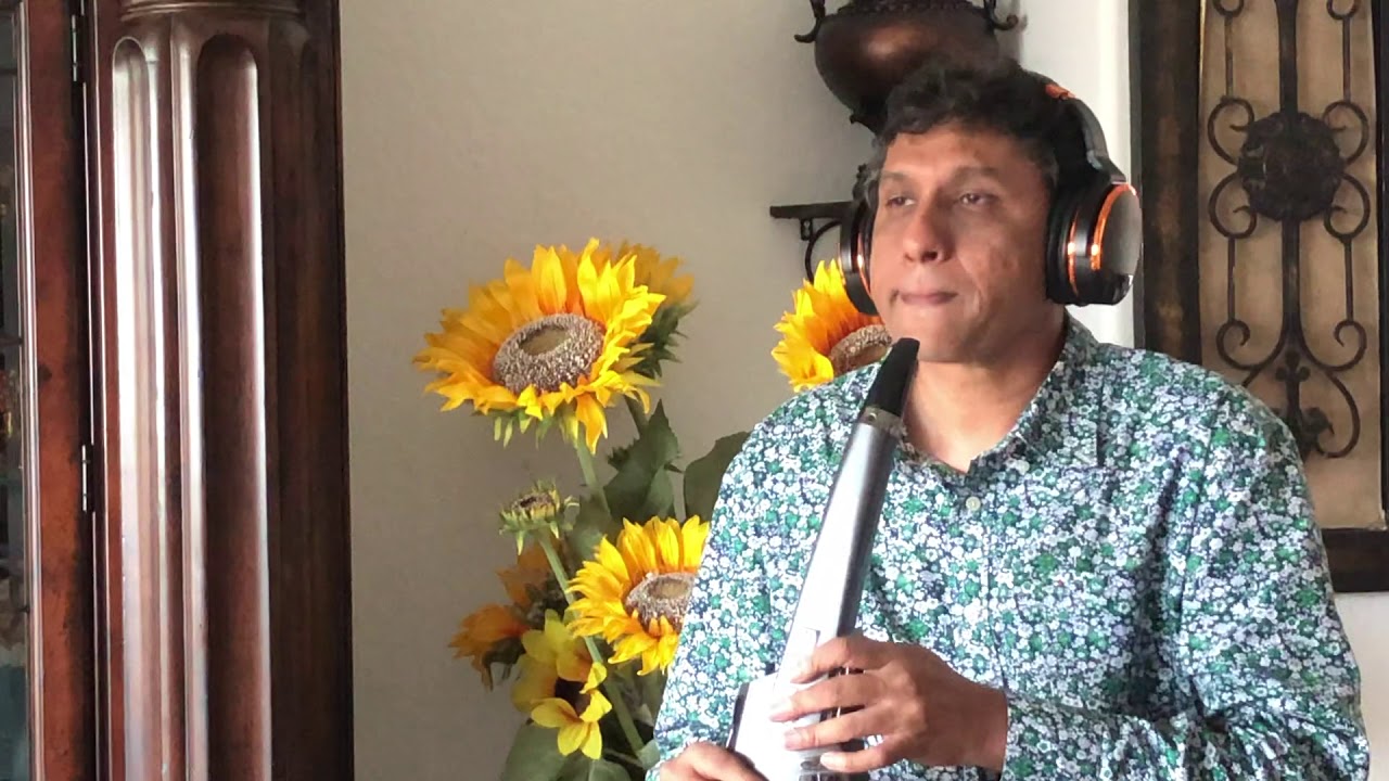 Mere Sapano Ki Rani - Instrumental on Roland Aerophone (Soprano Sax)