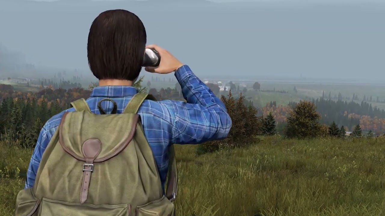 The Average Life of a DayZ Survivor