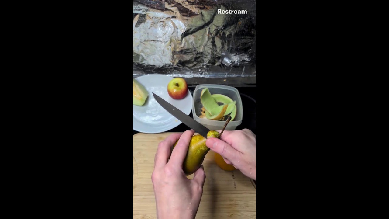 Cutting Fruits | Asmr