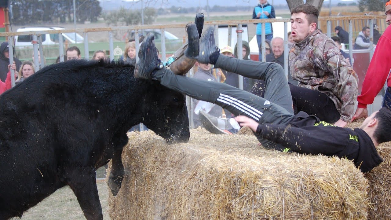 MAS BLANC DES ALPILLES COURSE AU PLAN 13.02.22