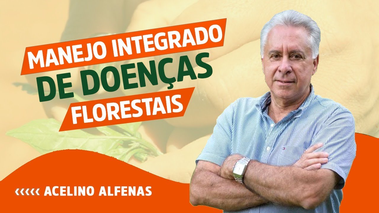 MANEJO INTEGRADO DE DOENÇAS FLORESTAIS