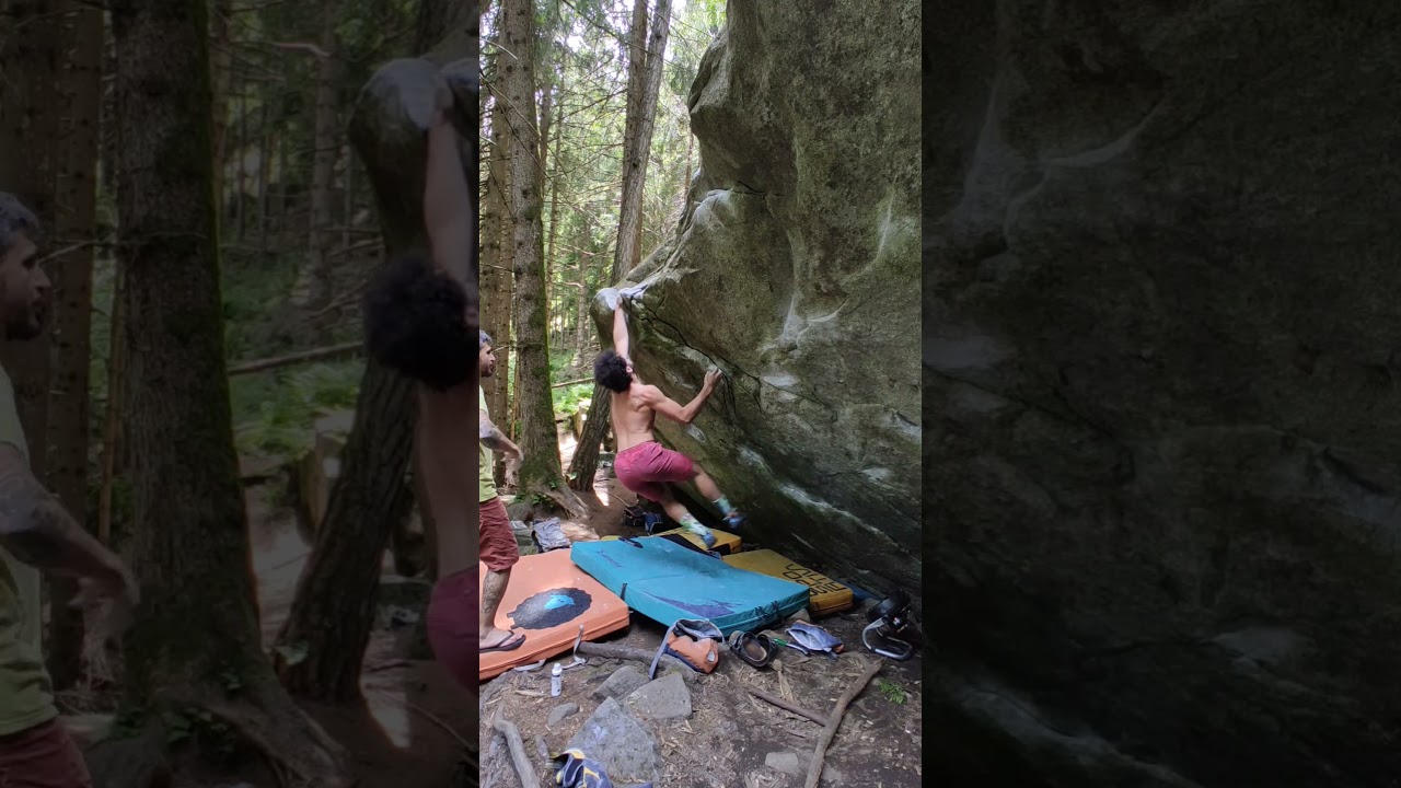 SHREK settore Dos dei Aser ValDaone