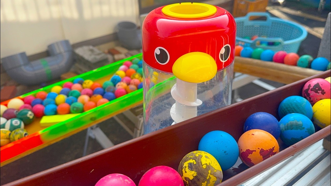 Marble Run Race★１００個の玉と木製コの字型コース♪　100 balls and a wooden U-shaped course