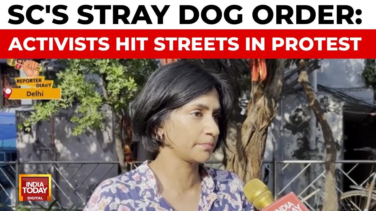 SC's Stray Dog Order Ignites Protests, Activists Vow To Fight 'Illegal' Ruling | India Today