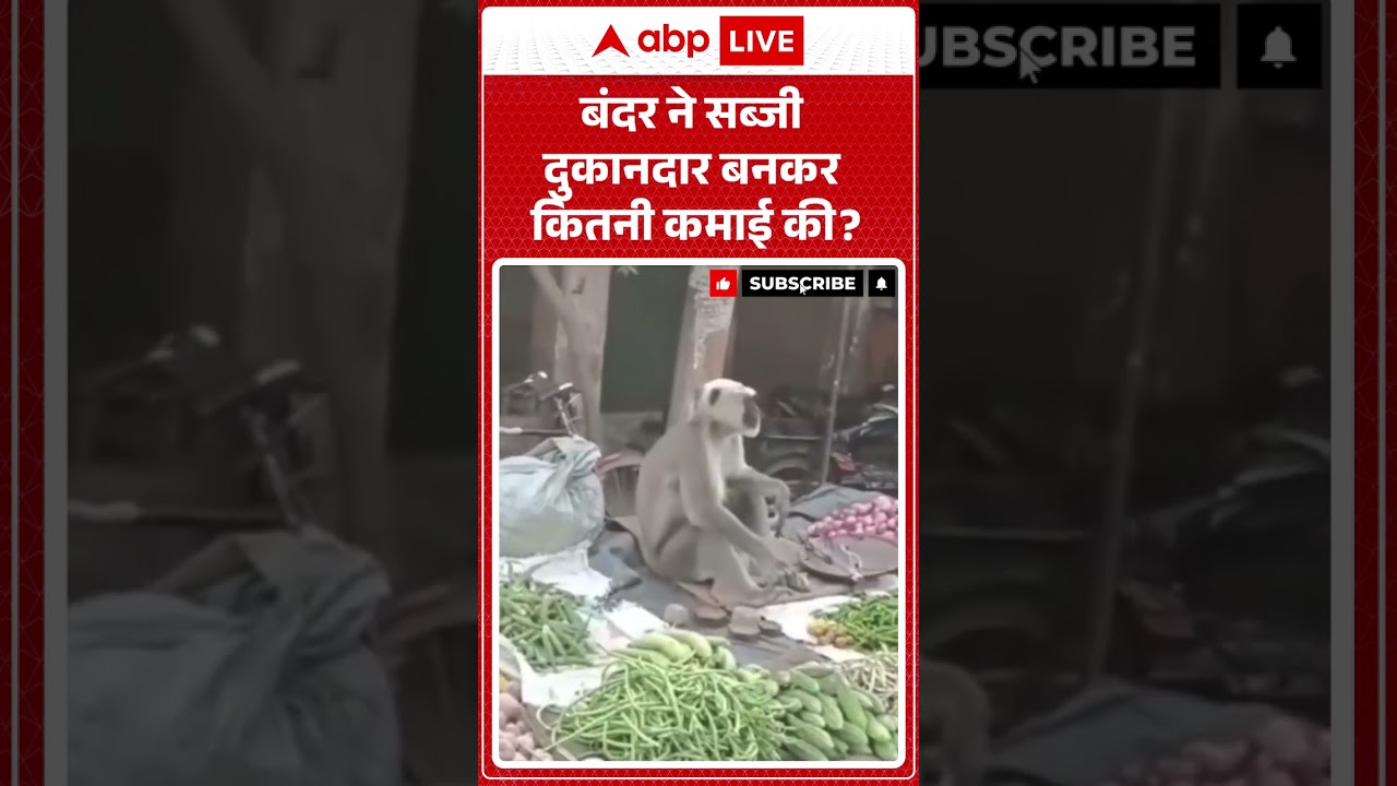 Viral News : बंदर ने सब्जी दुकानदार  बनकर कितनी कमाई की?  #shorts #monkey #viralvideo