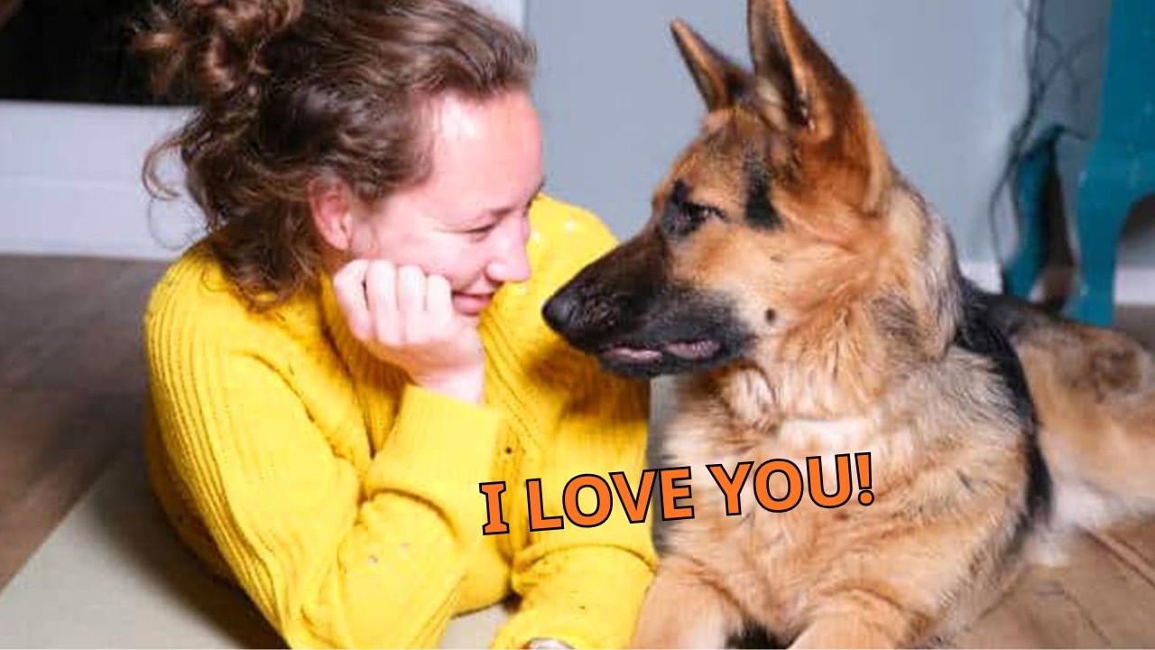🐶 Собаки, безмерно влюбленные в своих хозяев
