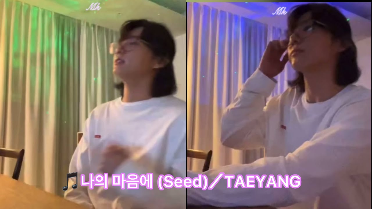 🎵나의 마음에 (Seed)／TAEYANG 日本語字幕