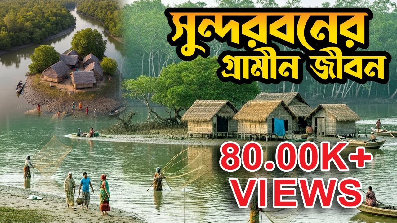 সুন্দরবনের মানুষের দৈনিক গ্রামীণ জীবন যাপন || নারীদের কষ্টের জীবন || Sundarbon Village Lifestyle