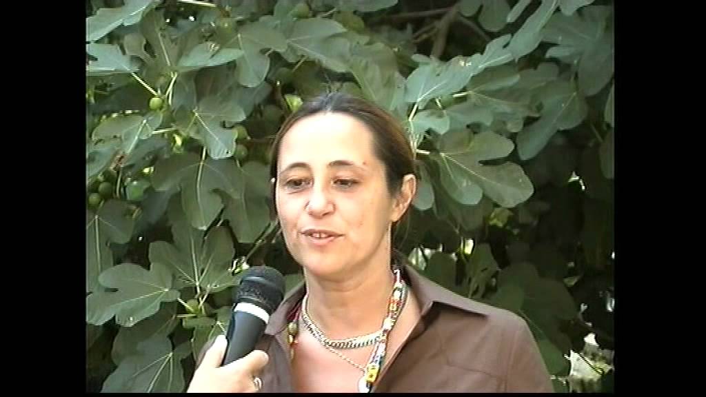 Testimonianze di conversioni, guarigioni e aumento di fede in Dio.(1a parte)