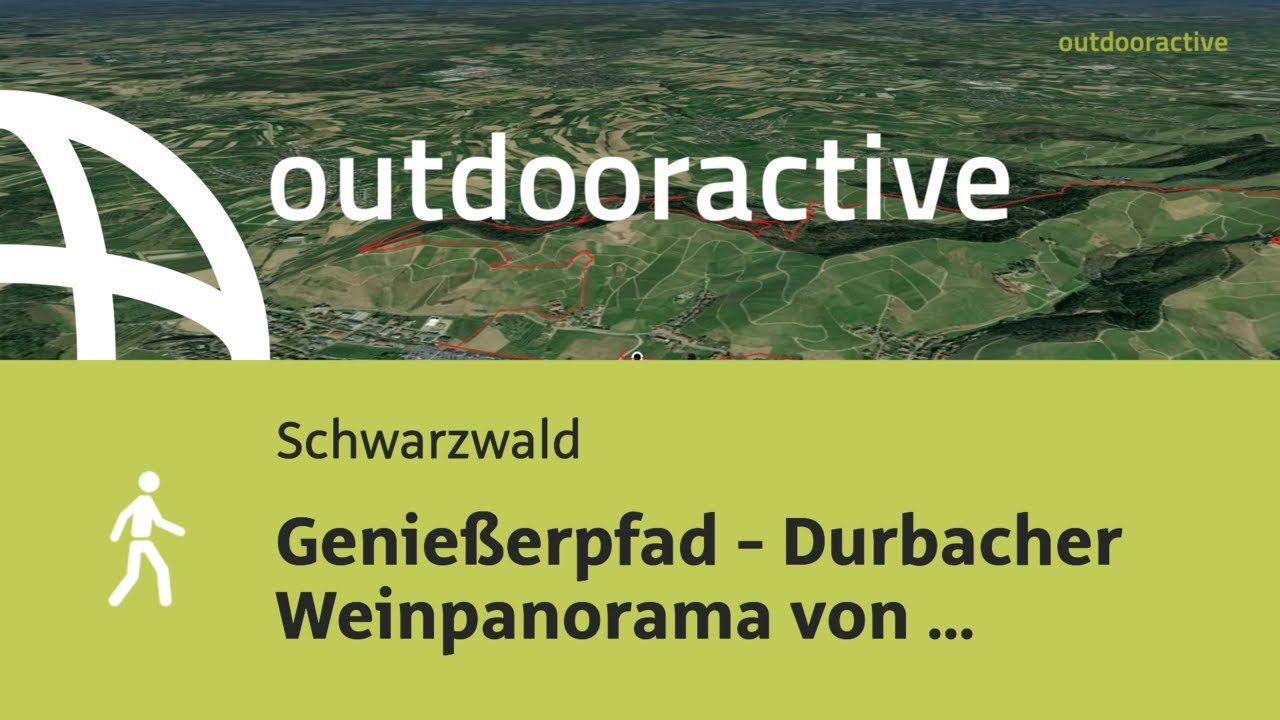 Flyover-Video: Genießerpfad - Durbacher Weinpanorama von Durbach über ...