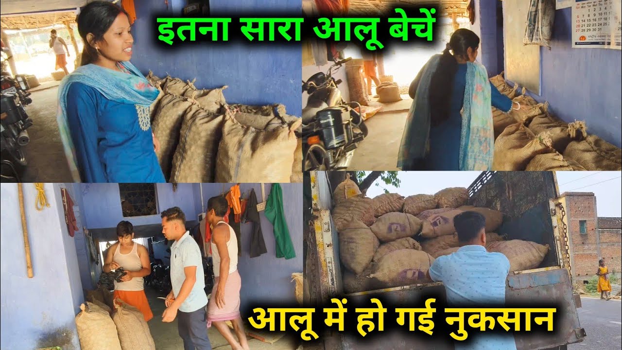 इतना सारा आलू बेचें, आलू में हो गई नुकसान || 😡😡 @sunitaranjanvlogs4042 