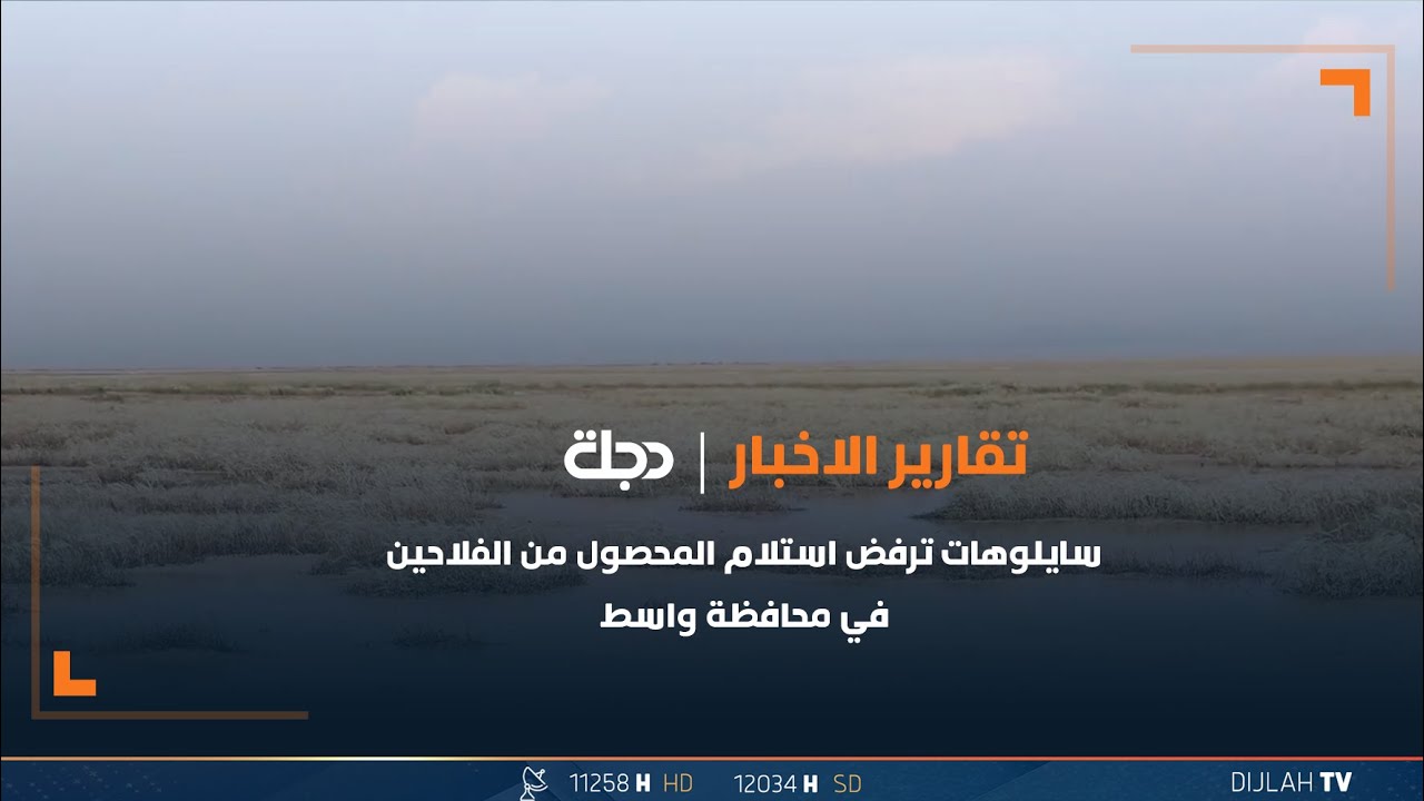 الأمطار تتلف 