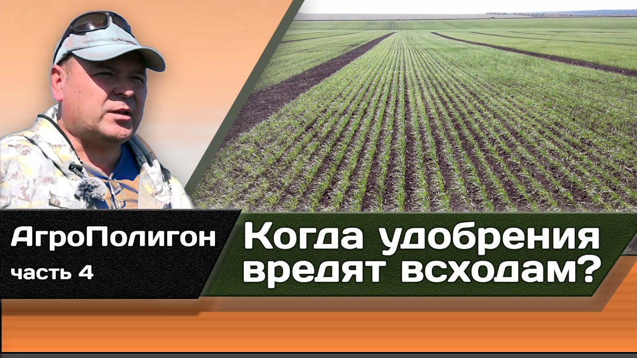 Когда удобрения вредят всходам ?
