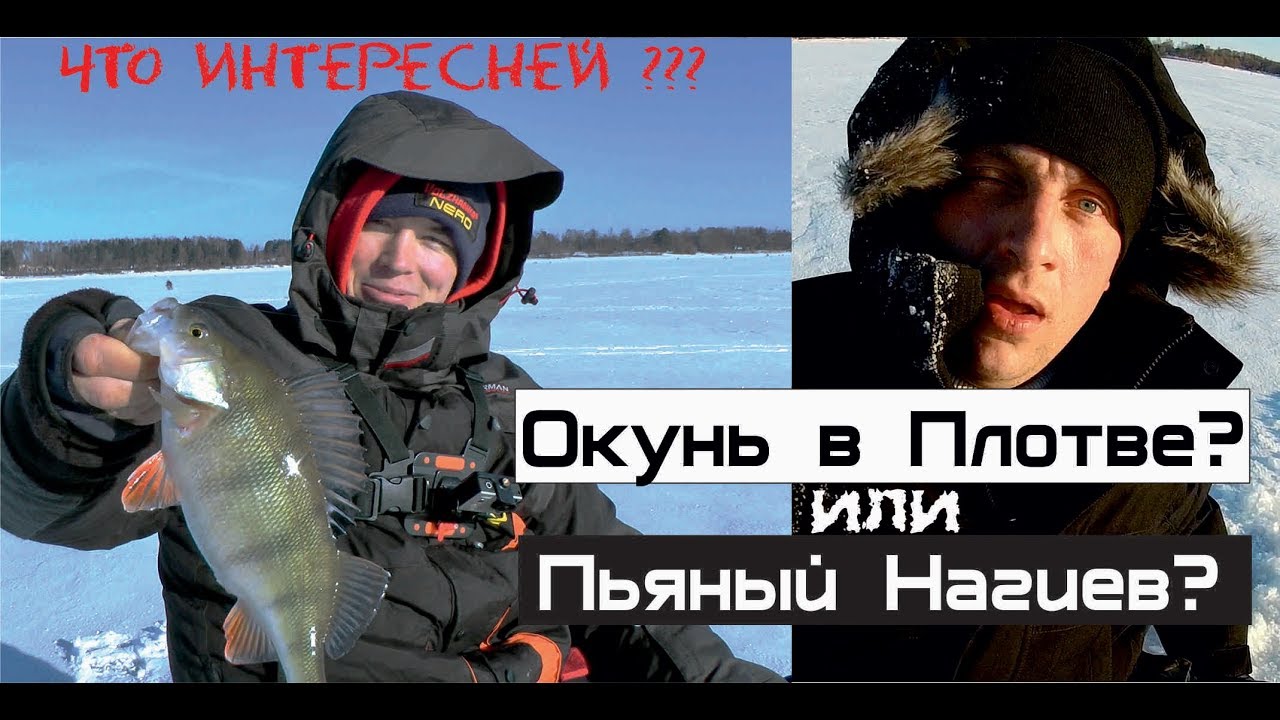 #СЕКРЕТЫЧЕМПИОНА Ловим плотву на Можайке, спасли! двойника Нагиева